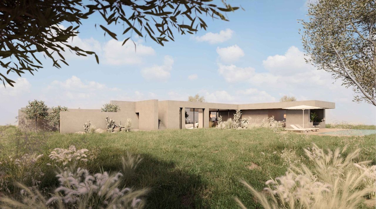 Render of Casa Settarte seen across a meadow of grasses, with olive branches in the foreground